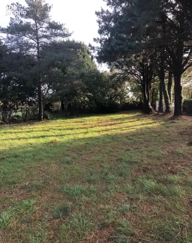 Très beau terrain constructible de 805m2 entre St Armel et St Colombier , à 700m du Golfe - photo 2