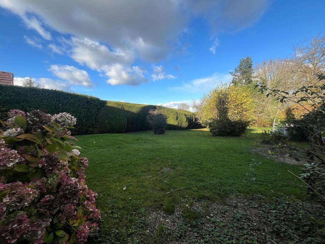 Maison à LE MONT-SAINT-ADRIEN