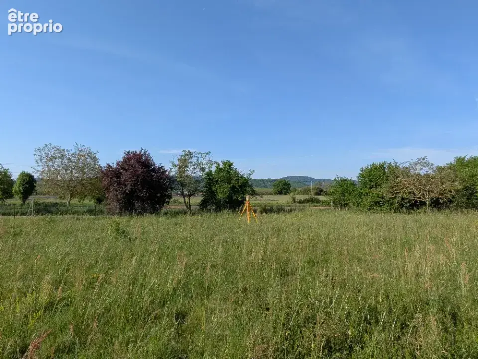 Terrain à PALAMINY