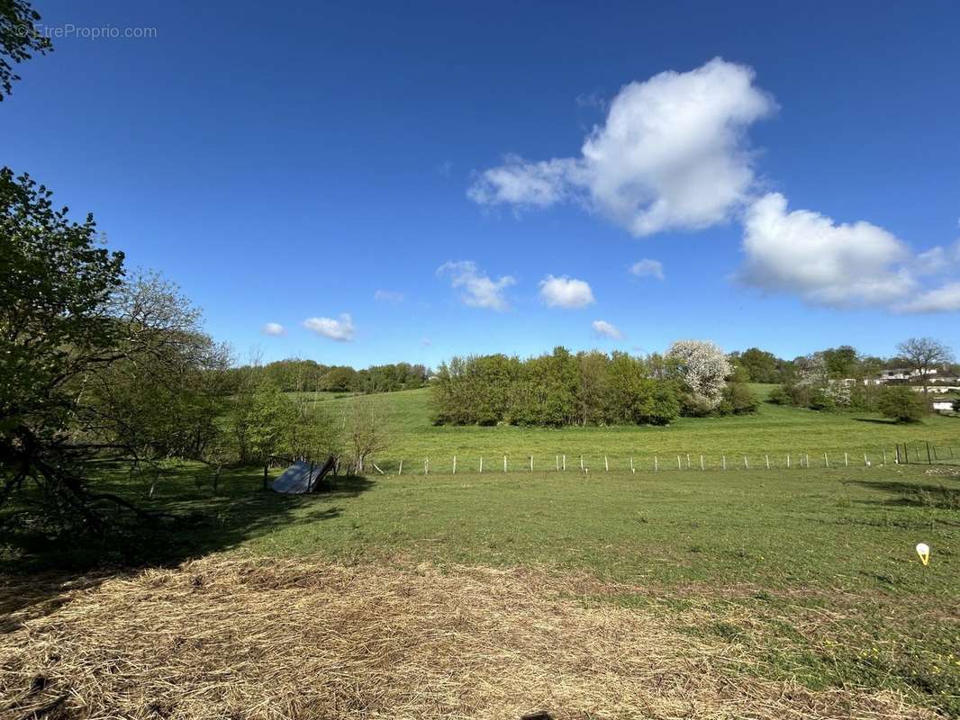 Terrain à SAINT-VIT