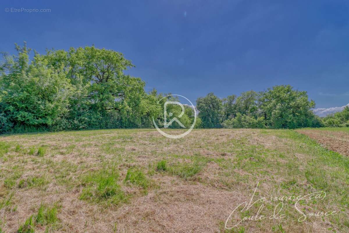 TERRAIN GASCOGNE - Terrain à SERIGNAC