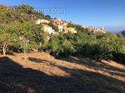 Terrain à OCCHIATANA