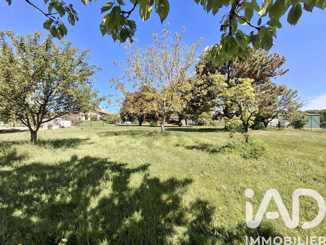 Photo 7 - Terrain à MOISSIEU-SUR-DOLON