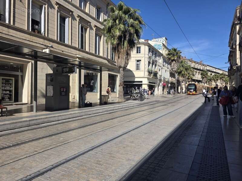 Commerce à MONTPELLIER