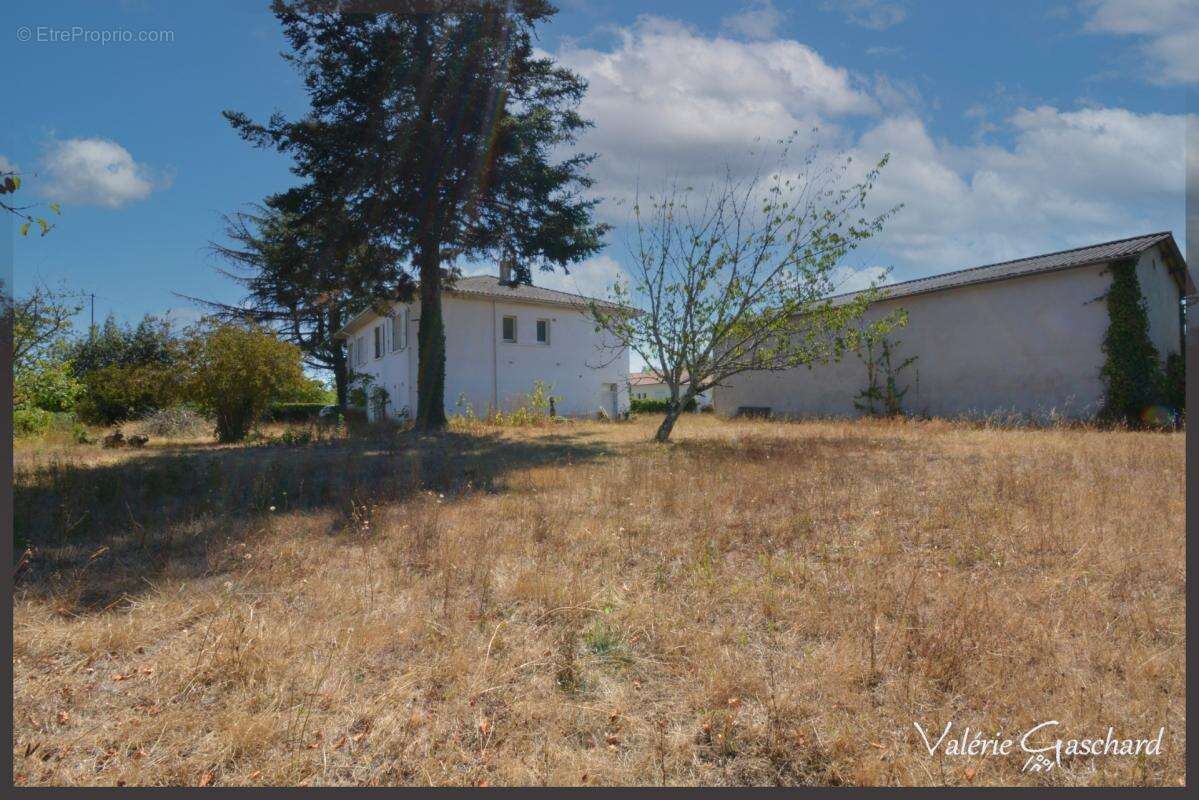 Saint seurin sur l'isle -Maison 4 chambres + sous sol total, grange et terrain - photo 3
