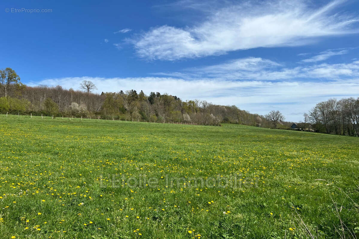 Maison à MORTAGNE-AU-PERCHE