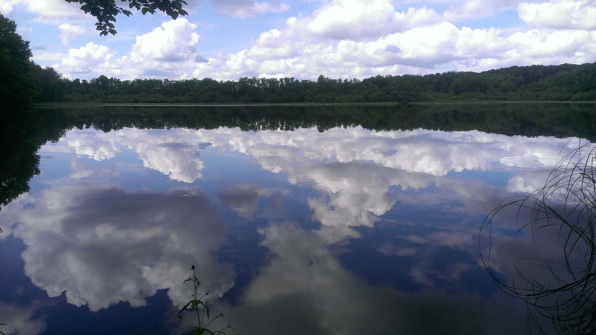 Terrain à PLOMBIERES-LES-BAINS
