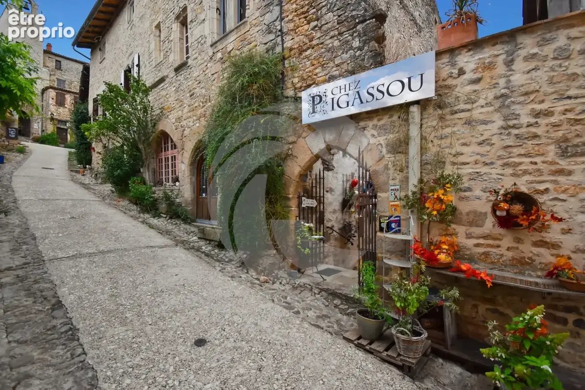 Commerce 190 m² à vendre à Bruniquel (82800) - photo 2