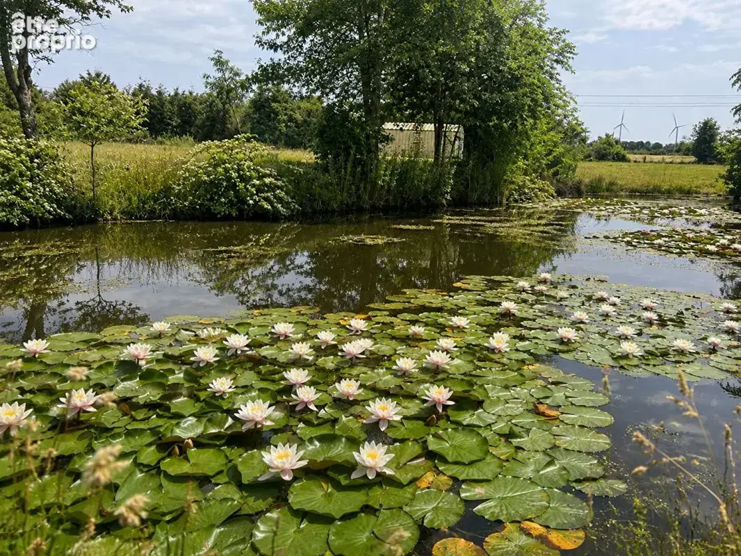 Longère Erbray - photo 4