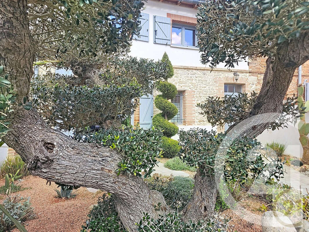 Maison à TREBONS-SUR-LA-GRASSE