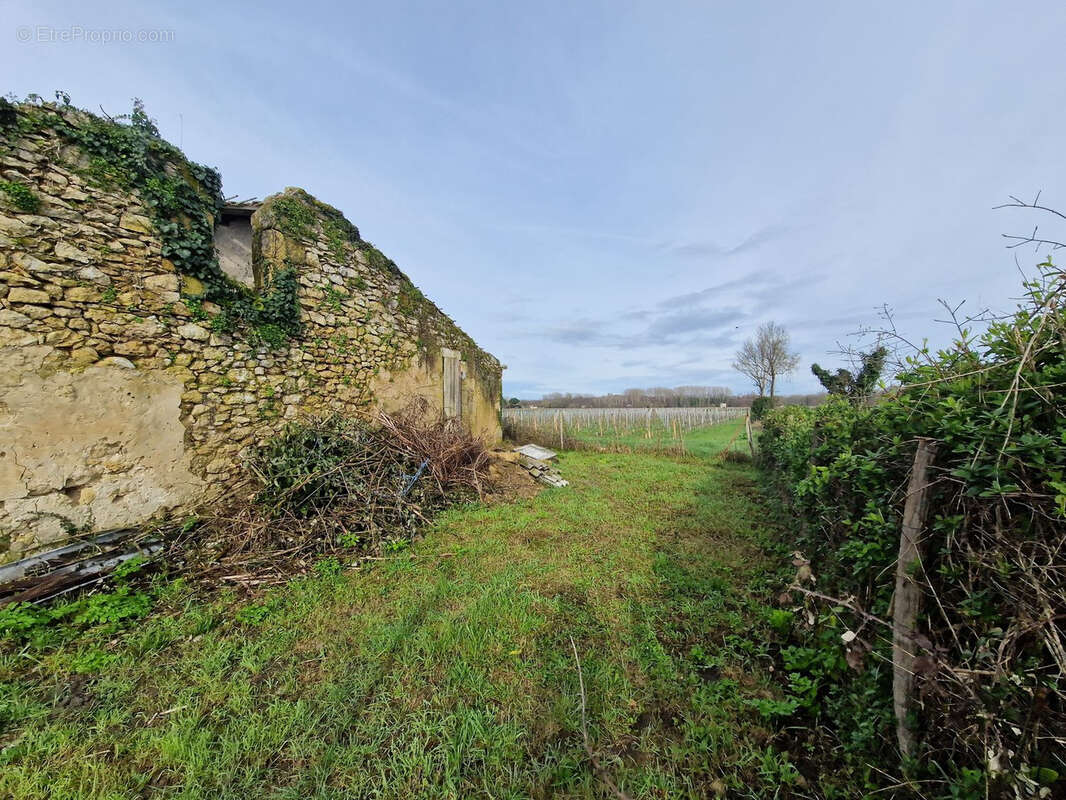 Maison à BARSAC
