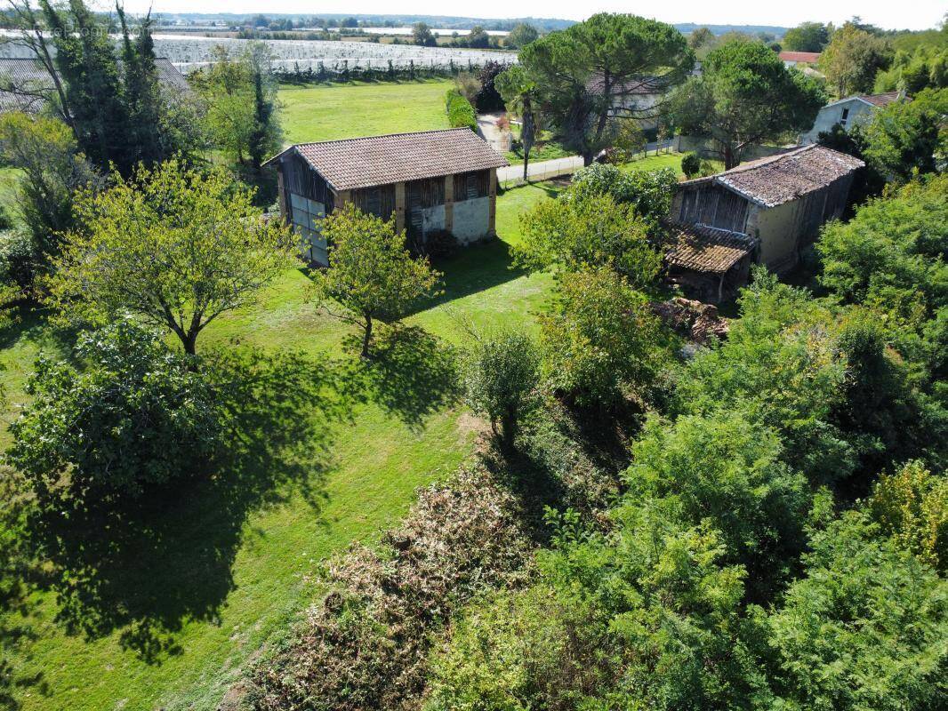 Maison à SAINT-NICOLAS-DE-LA-GRAVE