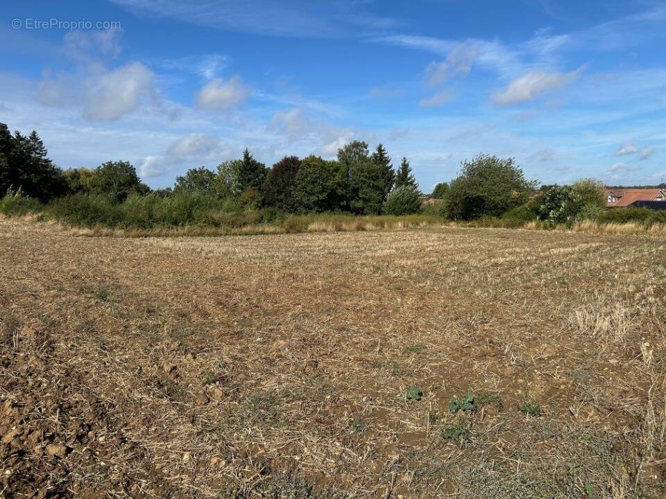 Terrain à CALONNE-RICOUART