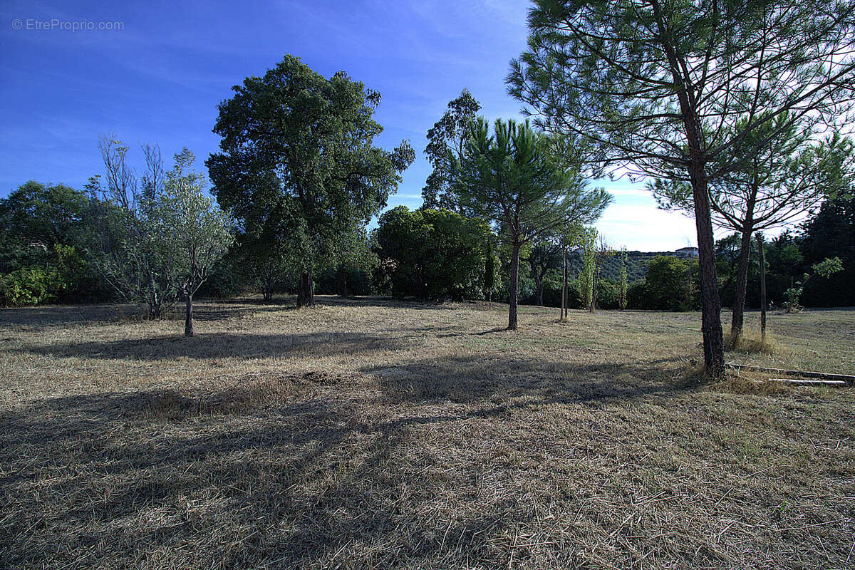 Terrain à CUTTOLI-CORTICCHIATO
