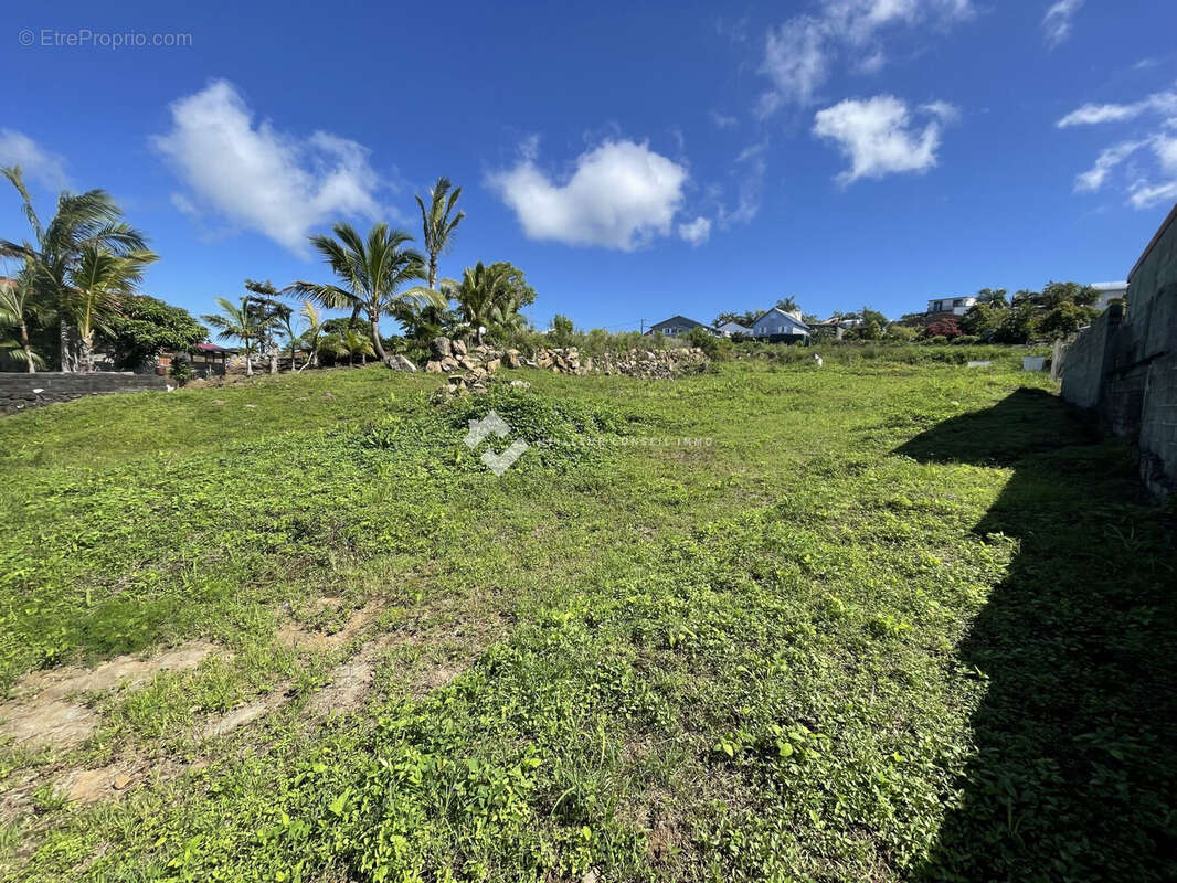 Terrain à PETITE-ILE
