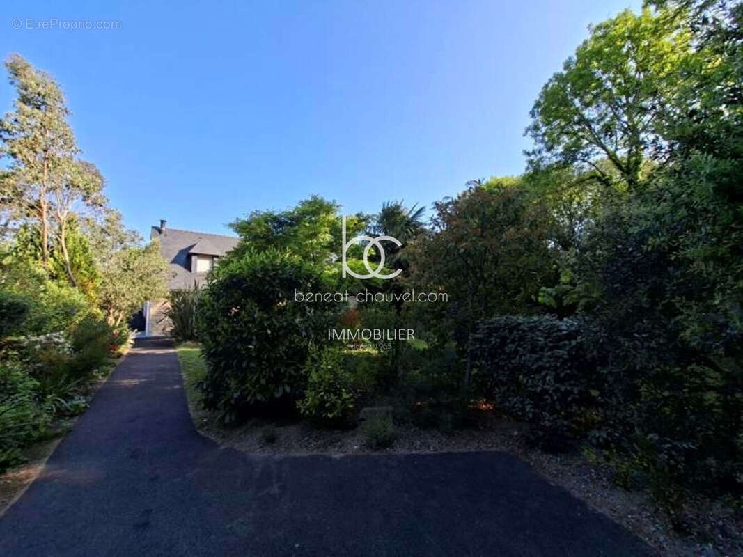 Île-aux-Moines Maison d'architecte dans écrin arboré - photo 12