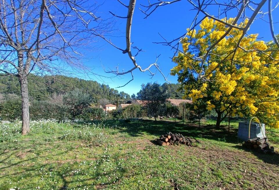 Terrain à LE THORONET