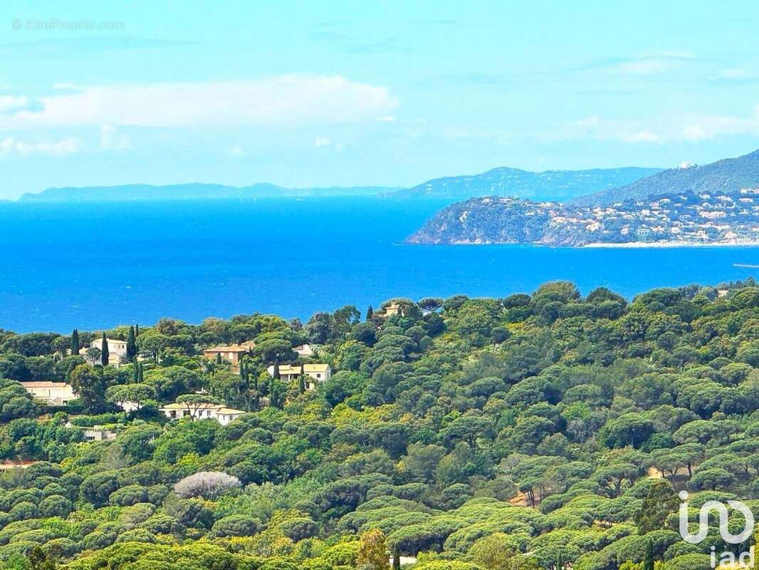Photo 2 - Commerce à CAVALAIRE-SUR-MER
