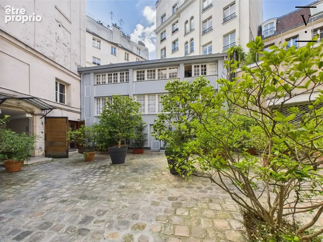 Rue de Seine - photo 13