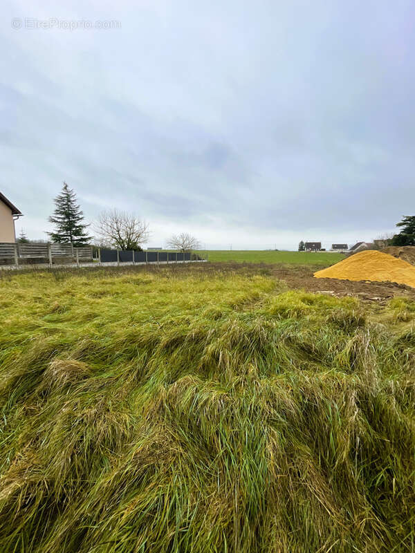 Terrain à BERCHERES-LES-PIERRES