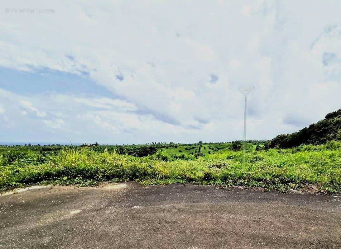 Terrain à GOYAVE