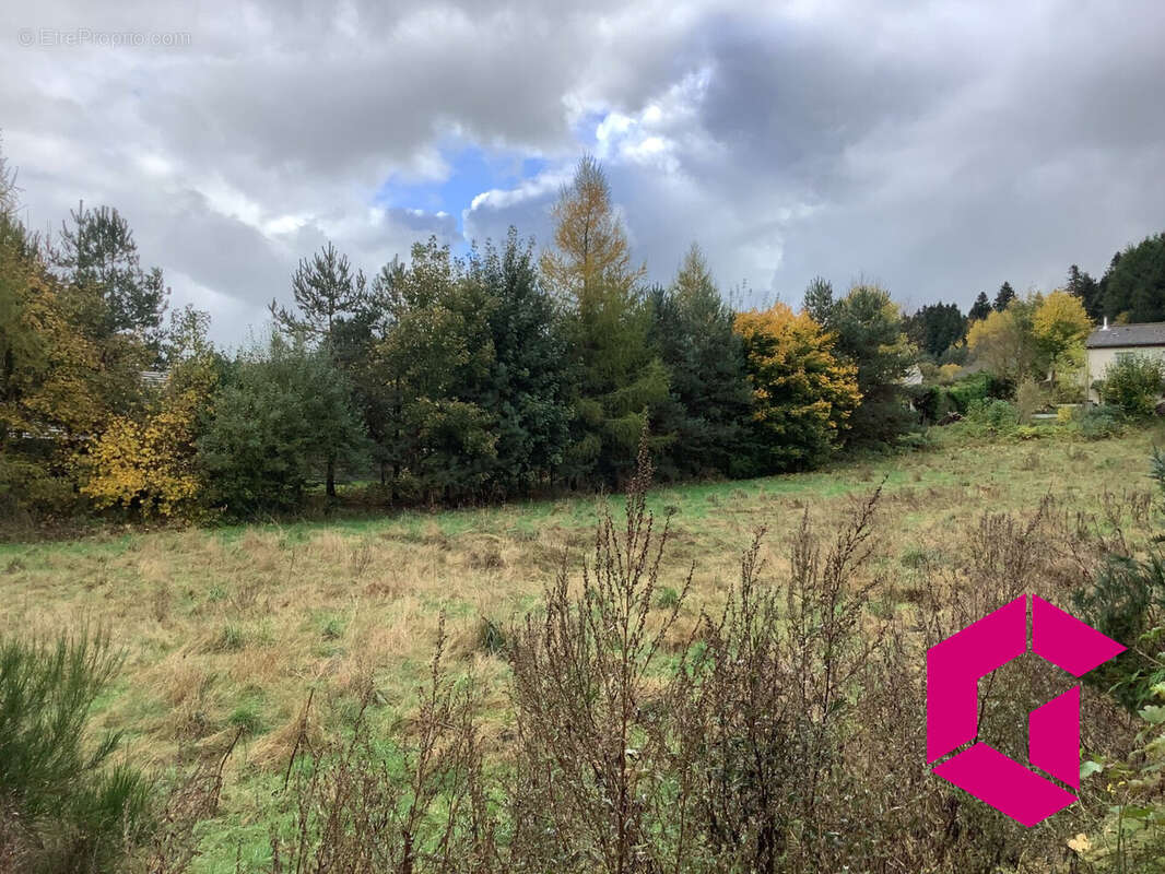 Terrain à LE CHAMBON-SUR-LIGNON