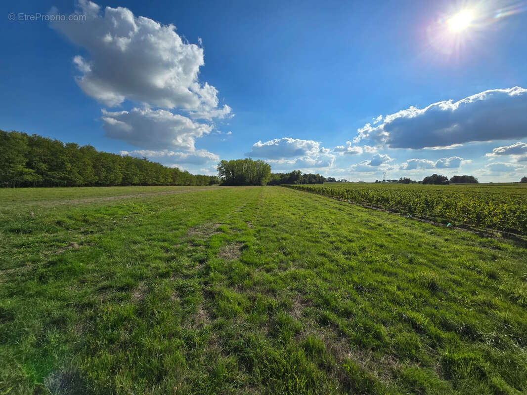 Terrain à FONTGUENAND