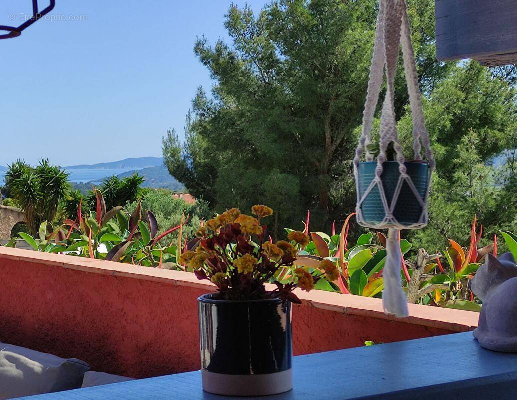 Maison à BORMES-LES-MIMOSAS