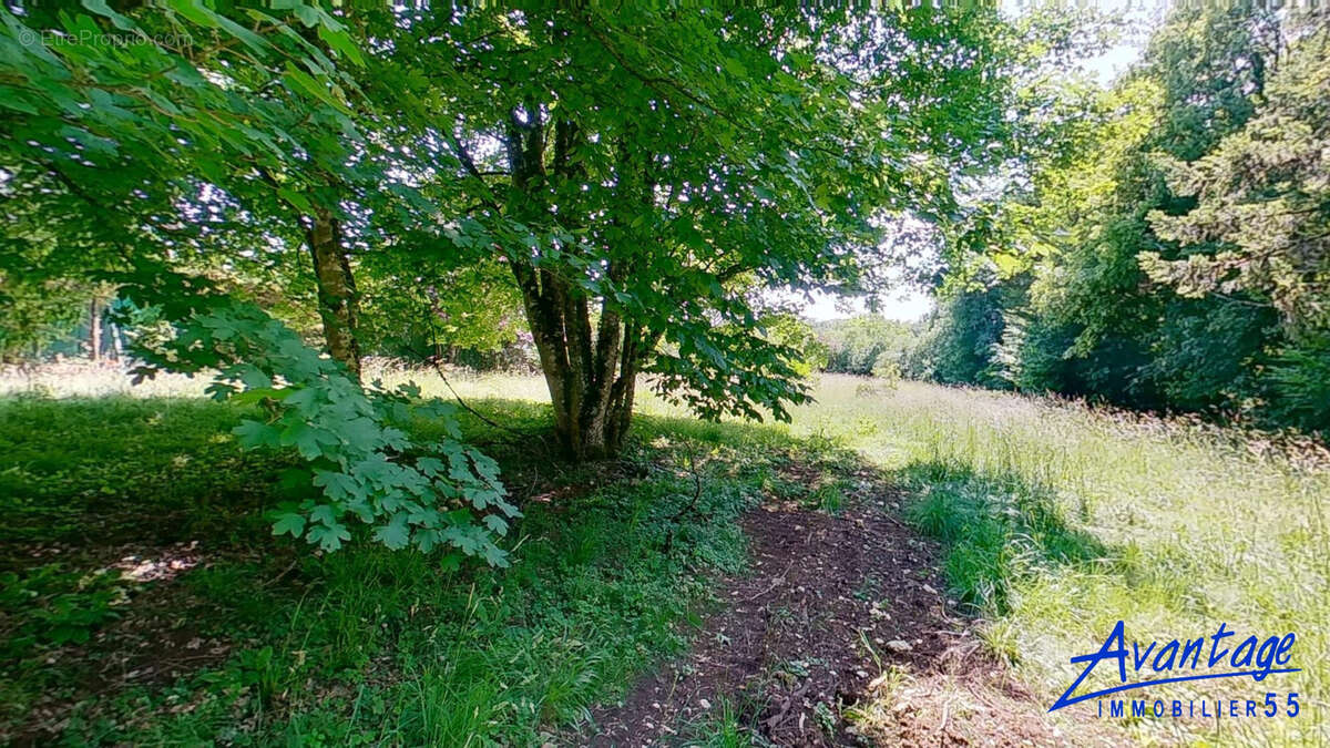 Terrain à BAR-LE-DUC