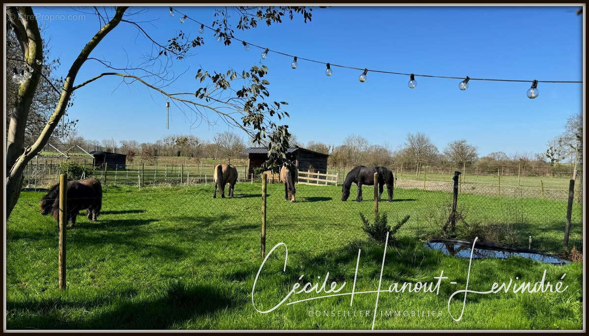 AUCEY LA PLAINE- Proche Mt St Michel-  Ensemble immo Maison: 270 m2 hab. + Dépendances pierre + Terrain 1,7 ha - photo 33
