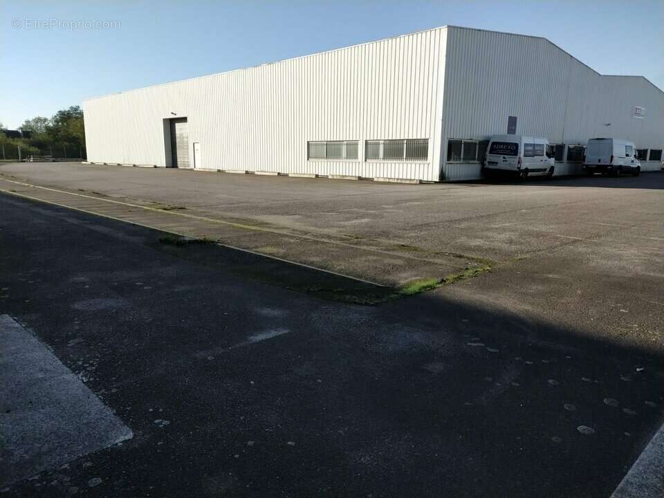 2000 m² à Golbey  - photo 2