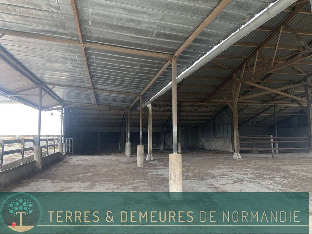 Maison à SAINT-PIERRE-SUR-DIVES