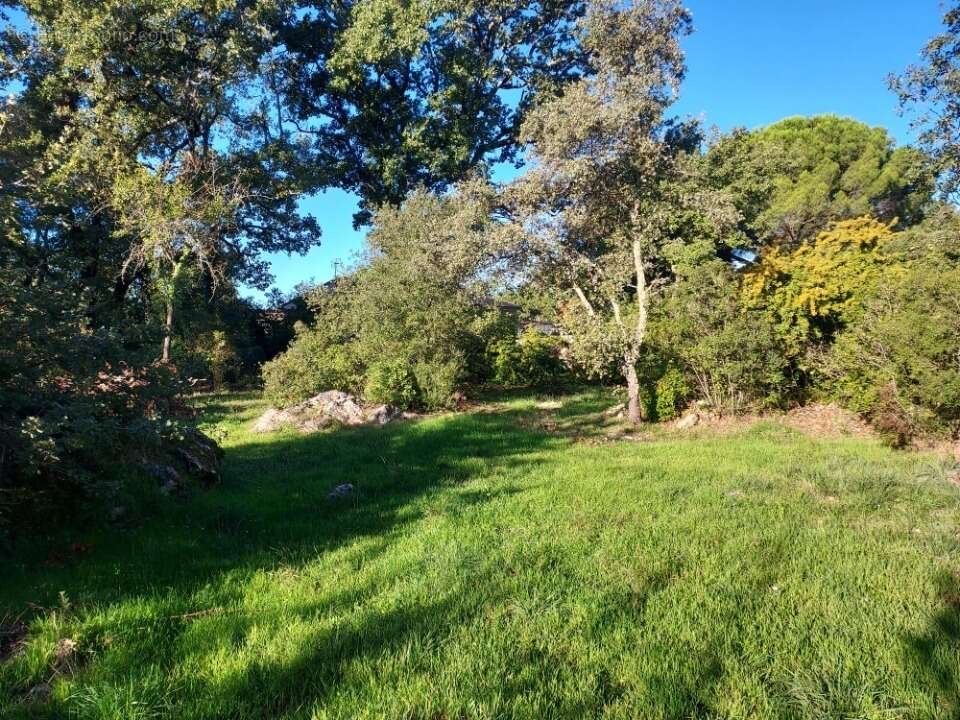 Terrain à CAMPS-LA-SOURCE