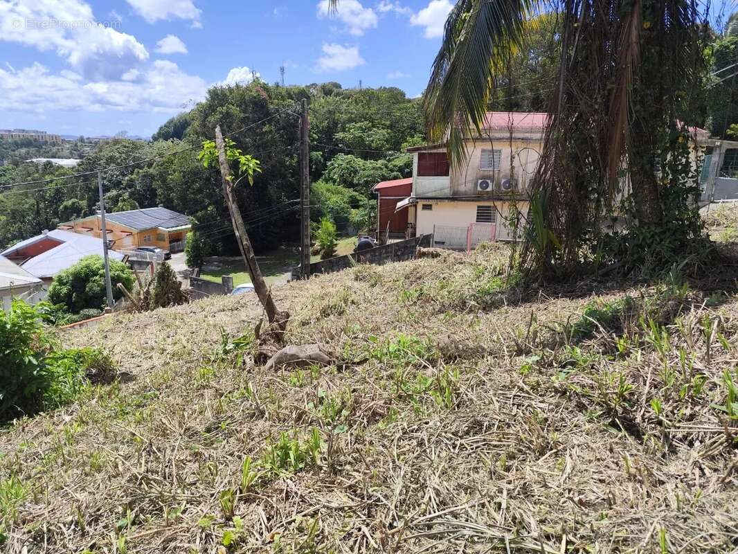 Terrain à FORT-DE-FRANCE