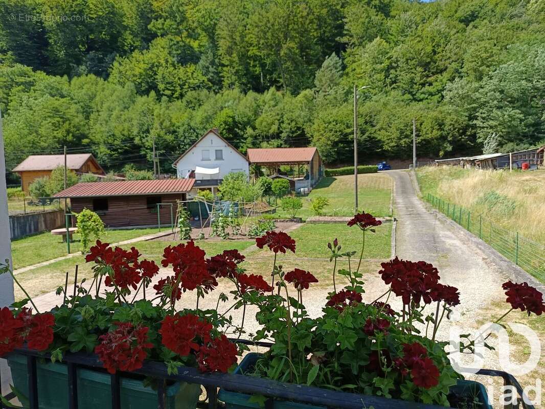 Photo 6 - Maison à LUTZELBOURG