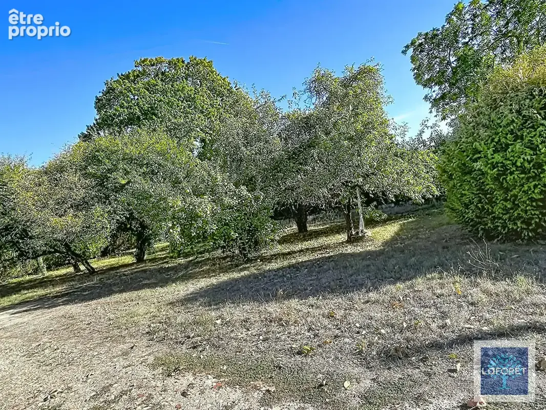 Belle Charentaise de caractère avec véranda, grange et grand jardin clos à BAIGNES-SAINTE-RADEGONDE. - photo 9