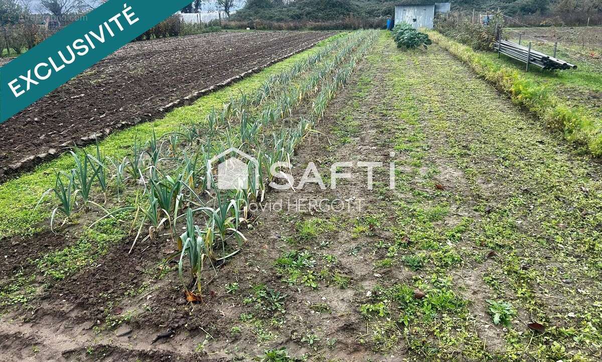 Photo 2 - Terrain à BAULE