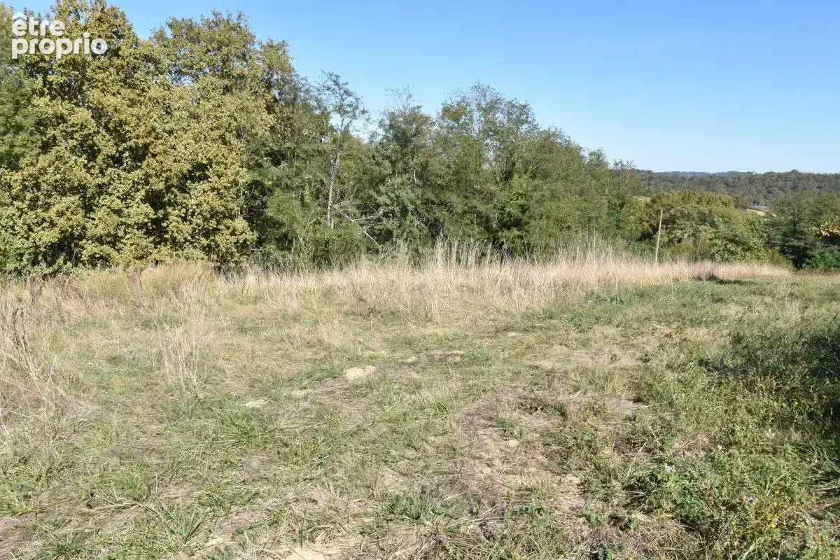 Terrain agricole de 6 610 m² LUCQ DE BEARN (64) - photo 2