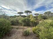 Terrain à FREJUS