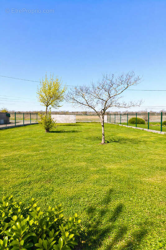 Terrain à PLAISANCE-DU-TOUCH