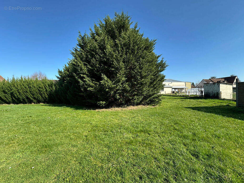 Maison à LE POINCONNET