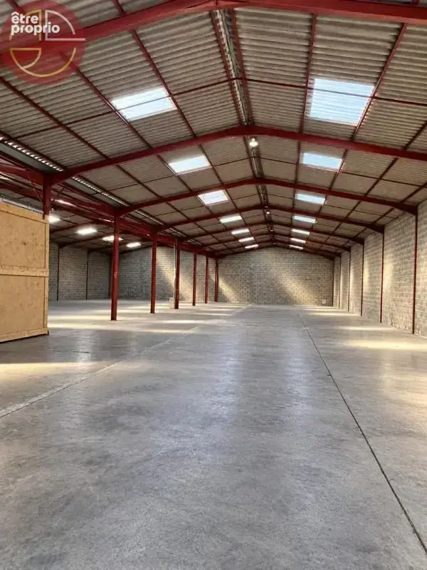 Commerce 1 205 m² à vendre à Saint-Alban (31140) - photo 4