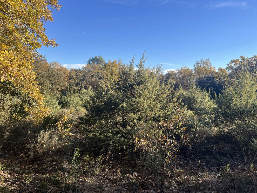 Terrain à SAINT-MAXIMIN