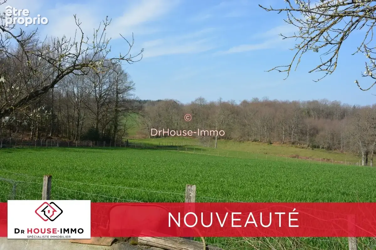 Terrain à CHAMPSAC
