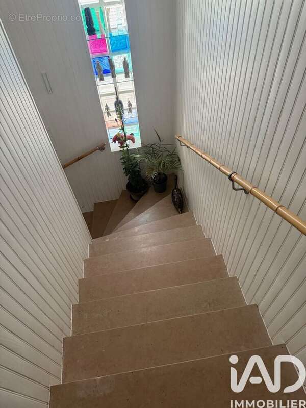 Photo 6 - Maison à CHAMPIGNY-SUR-MARNE