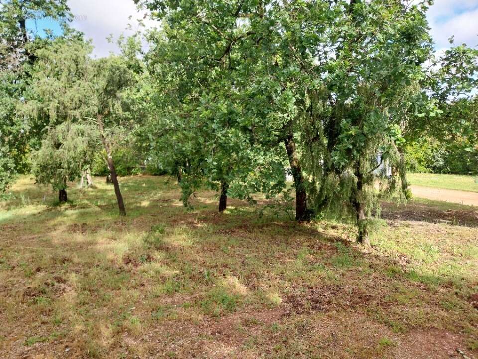 Terrain 609 m² à Le Cannet-Des-Maures  - photo 2