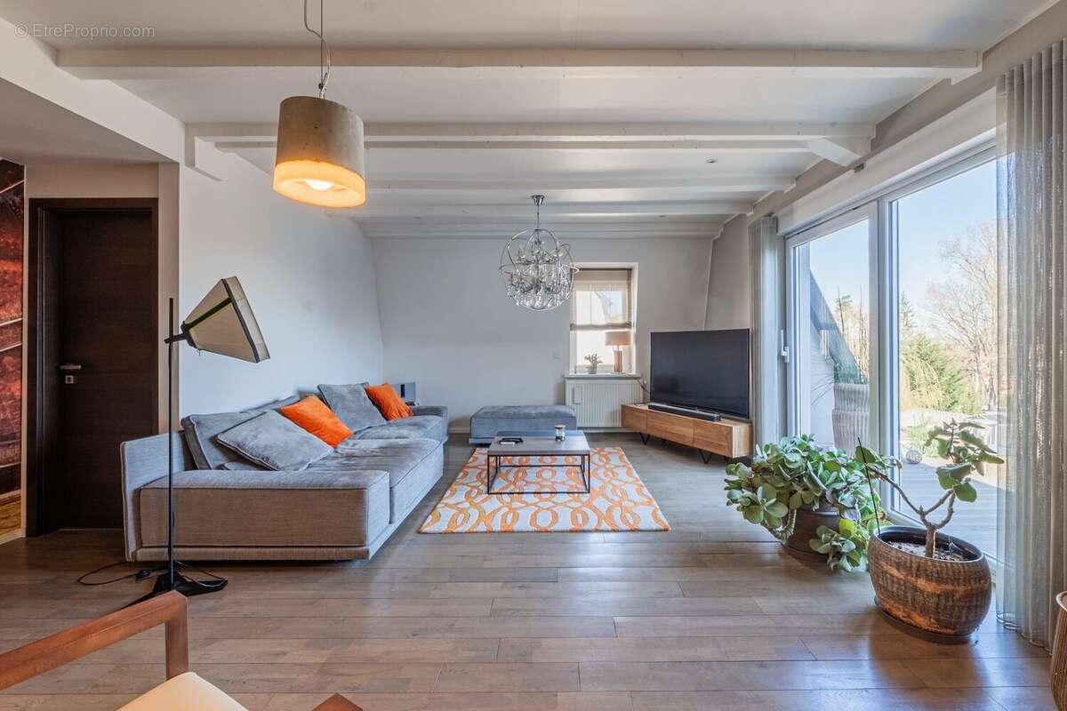 Commerce à HAGUENAU