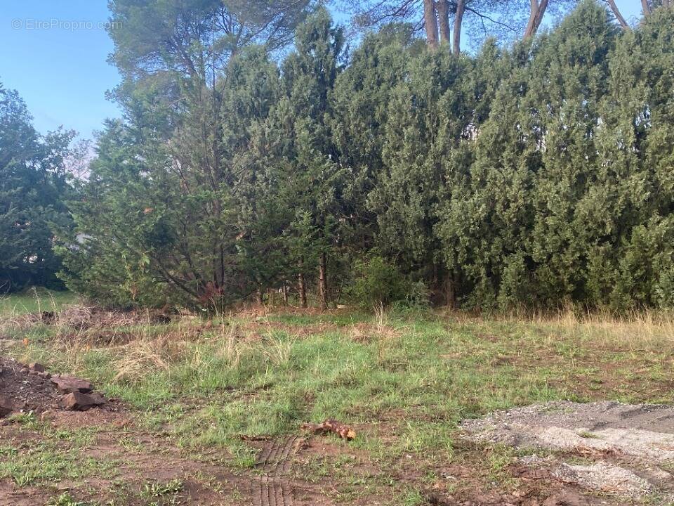 Terrain à PIERREFEU-DU-VAR