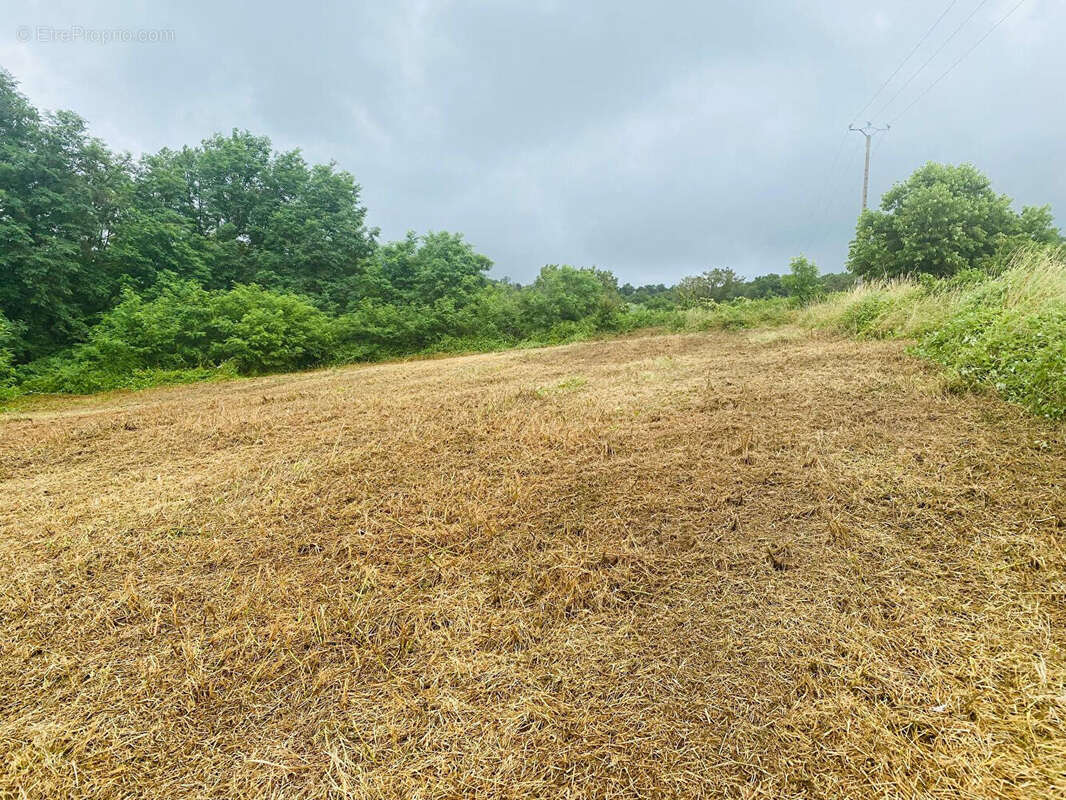 Vue dominante pour ce beau terrain sur la commune de Planioles - photo 6
