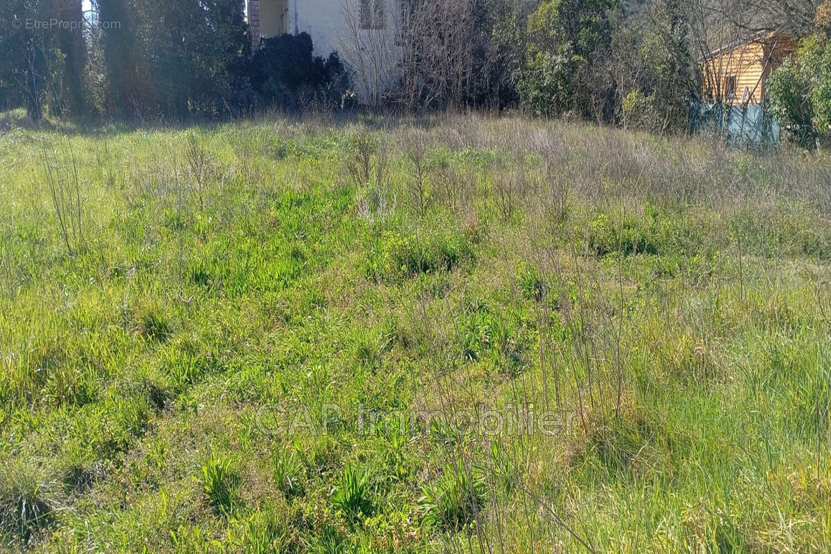 Terrain à MARQUIXANES